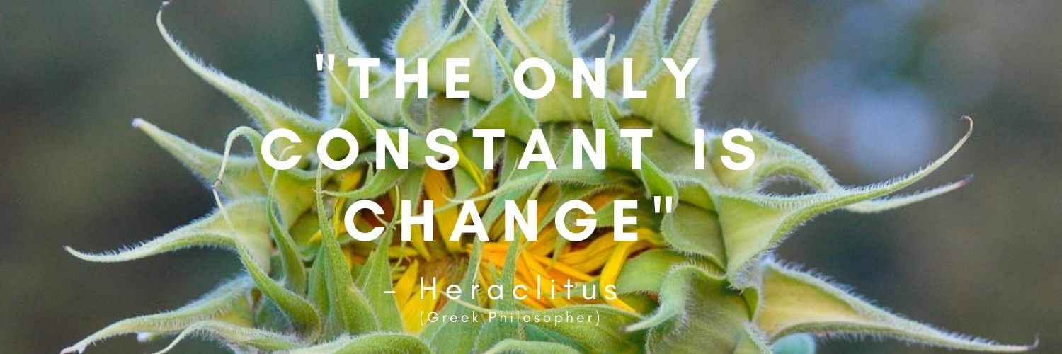 "The Only Constant is Change"